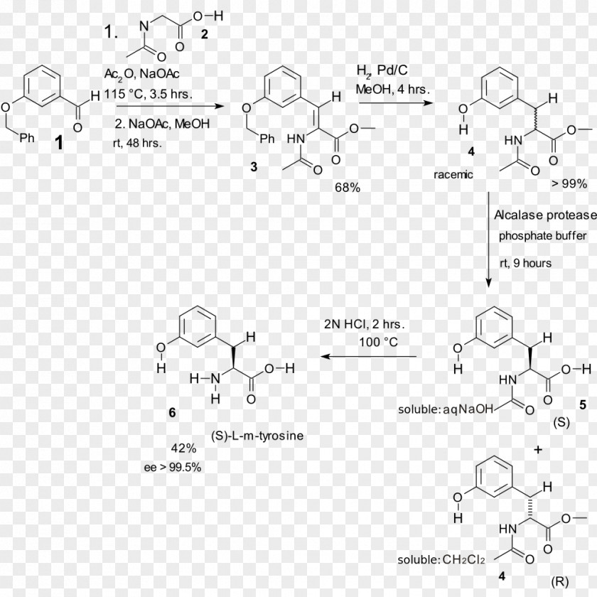Aromatic Amino Acid Erlenmeyer–Plöchl Azlactone And Amino-acid Synthesis Chemical Phenylalanine Condensation Reaction PNG