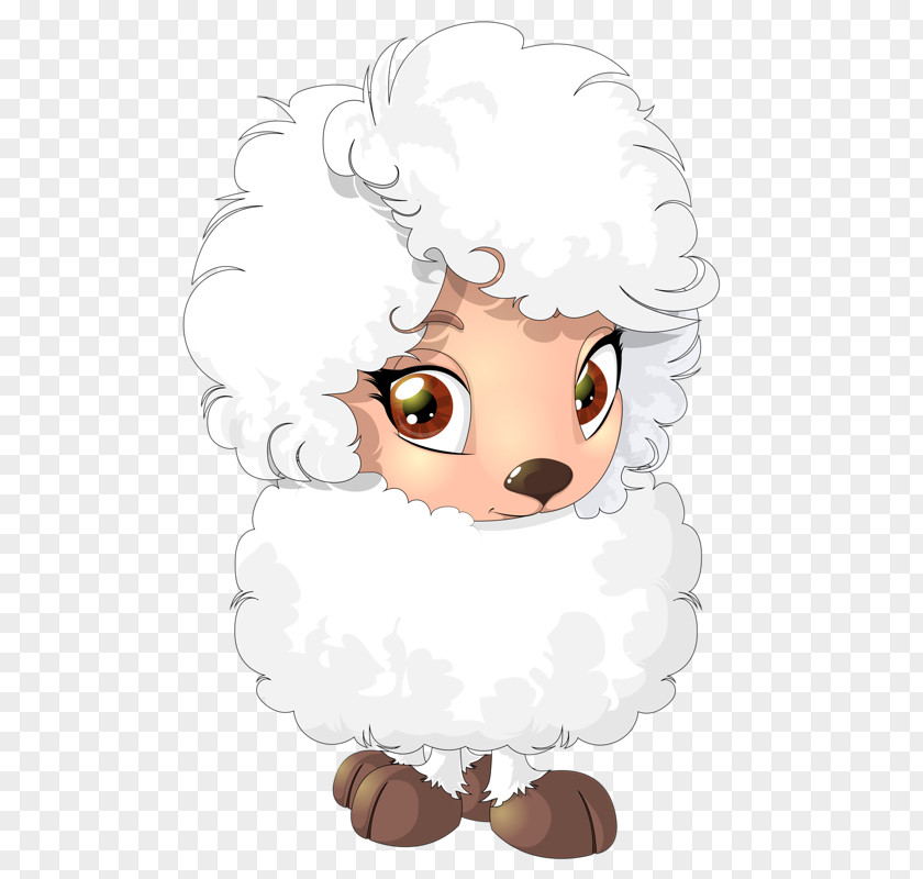Big Eyes Of The Lamb Sheep Cuteness Clip Art PNG