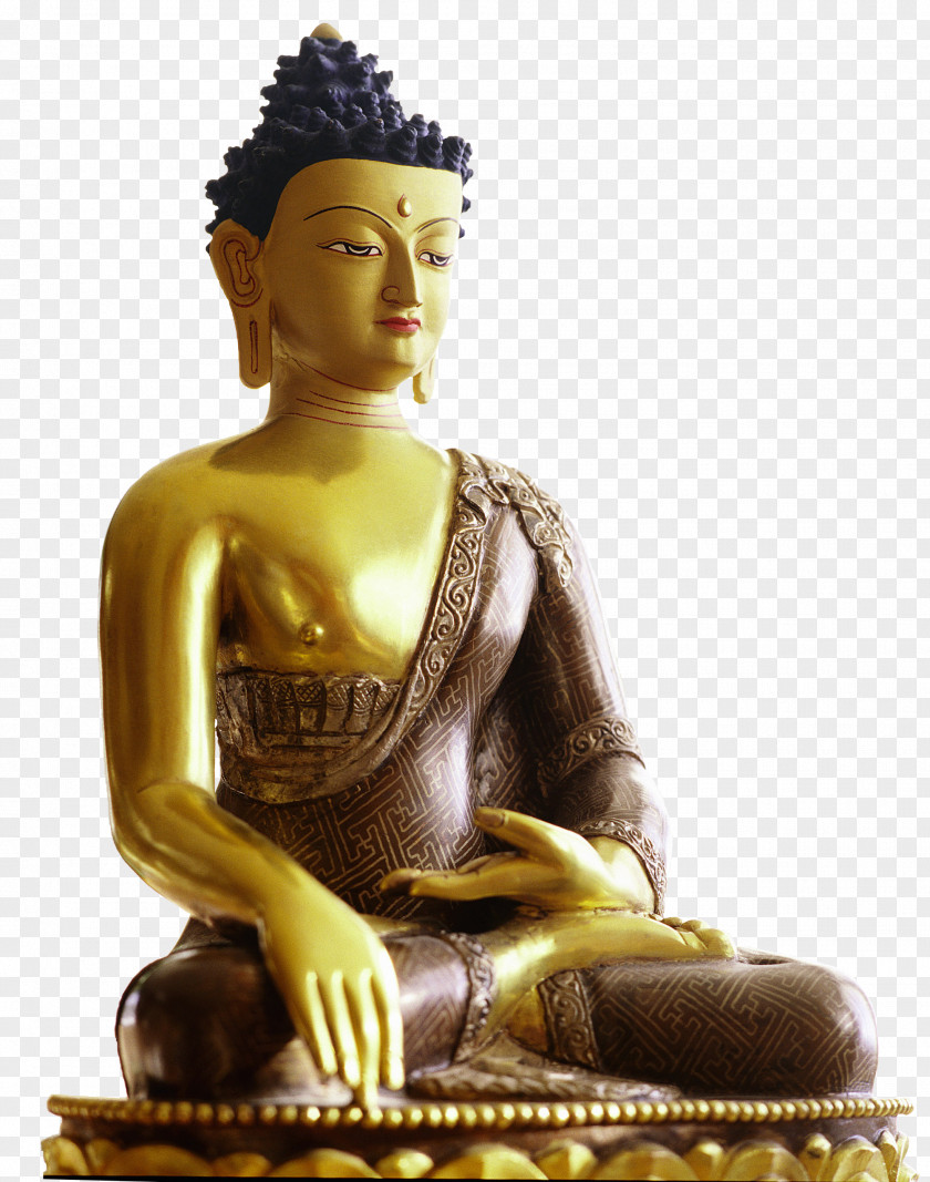 Buddhism Tibet Gautama Buddha Karmapa Controversy Diamond Way PNG