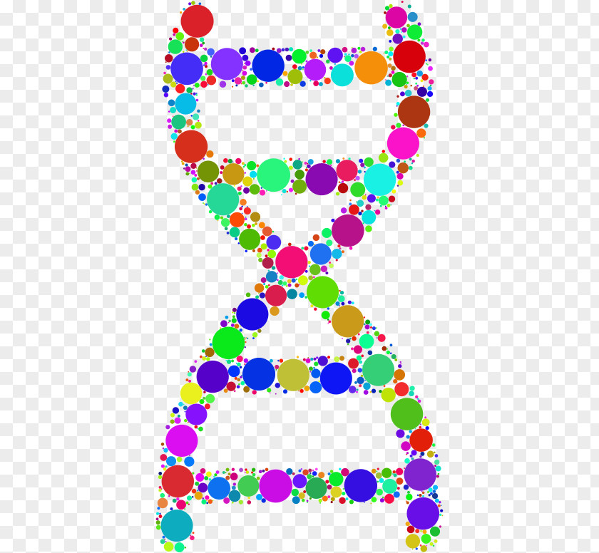 Circle Nucleic Acid Double Helix DNA Clip Art PNG