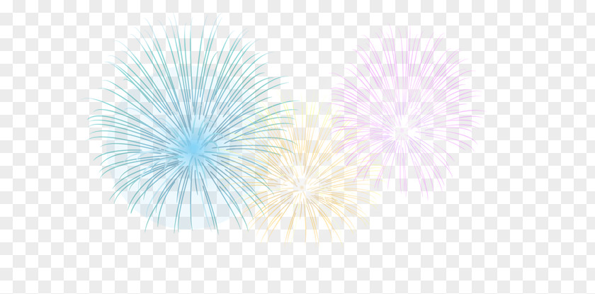 Colorful Fireworks Cold Floe Blue Graphic Design Sky Pattern PNG