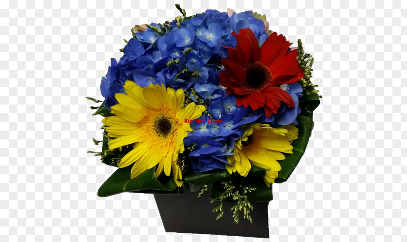 Flower Transvaal Daisy Floral Design Cut Flowers Bouquet PNG