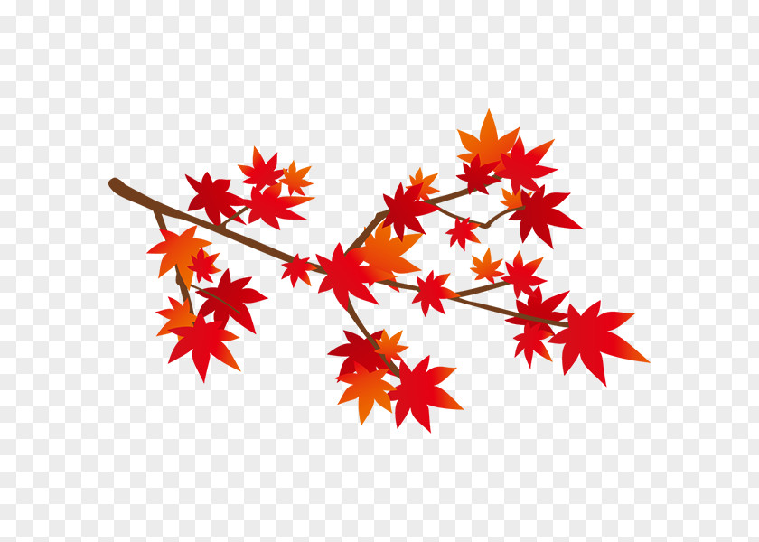 Illustration Autumn Leaf Color Monochrome Painting Graphics Design PNG