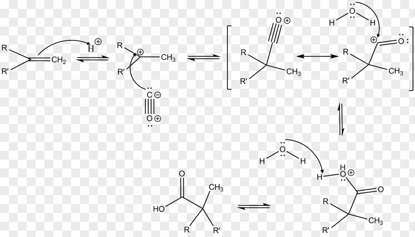 Mechanism Koch Reaction Chemical Carbonylation Alkyne PNG
