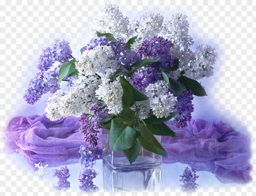 Siren Lilac Flower Bouquet Blume Ornamental Plant PNG