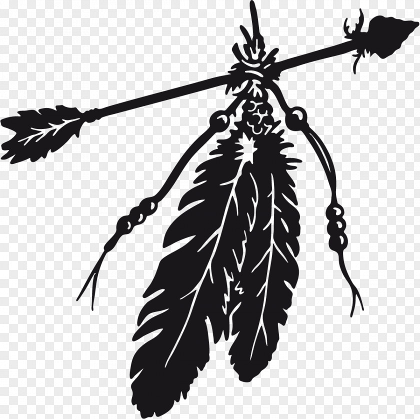 Feather Native Americans In The United States Eagle Law Clip Art PNG