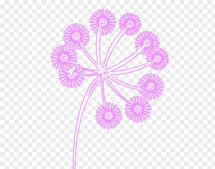 Flower Floral Design Cut Flowers Dahlia Pattern PNG