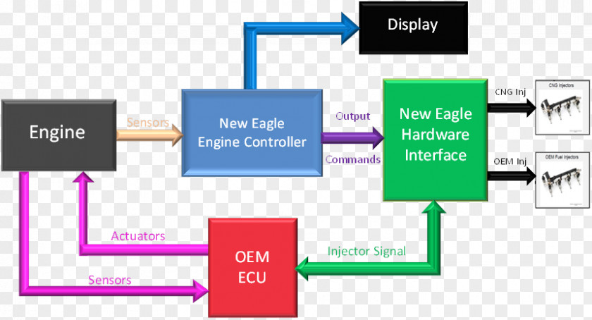 Graphic Design Diagram Product Brand PNG