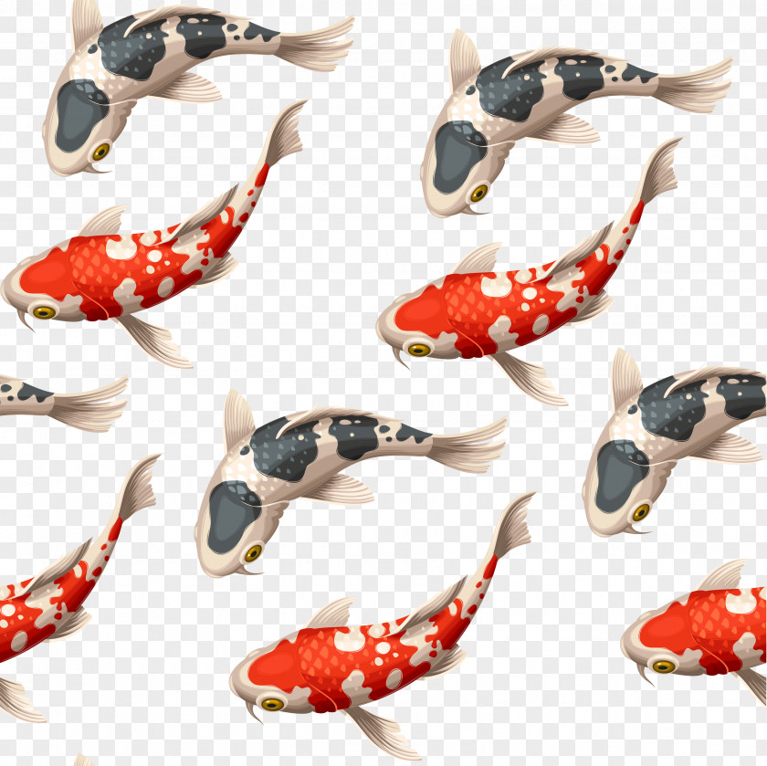 Japanese Carp Vector Illustration Koi Goldfish PNG