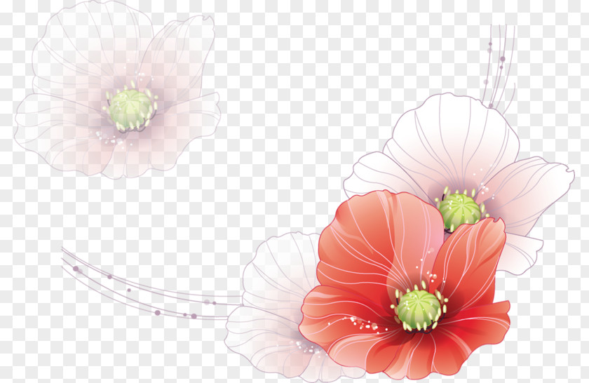 Line Drawing Floral Watercolor Flowers Painting PNG