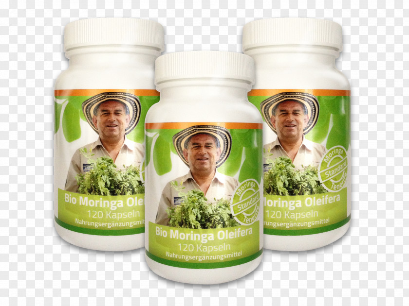 Moringa Herbalism Superfood Drumstick Tree PNG