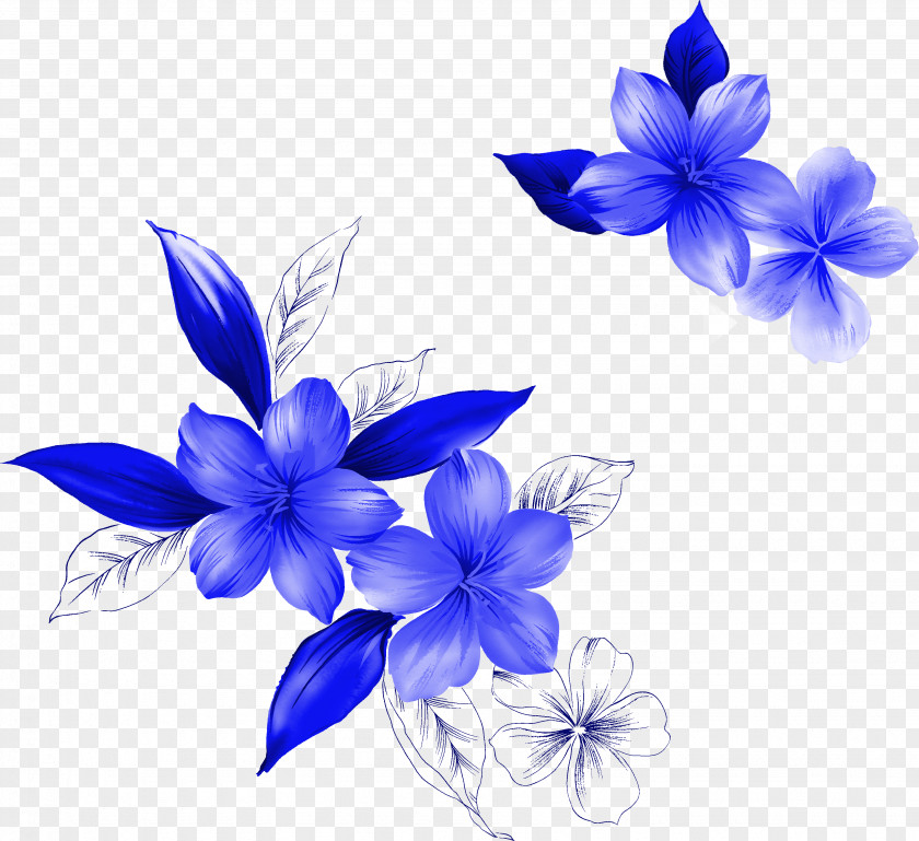 Peony Pattern Flower Floral Design PNG
