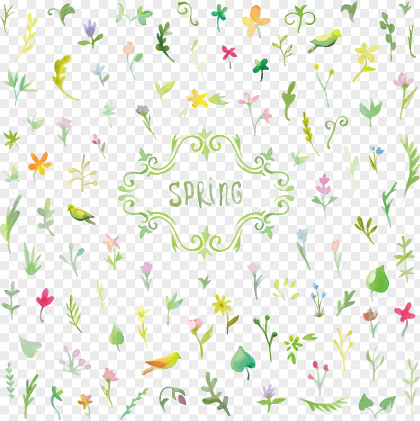 Spring Flowers Background PNG