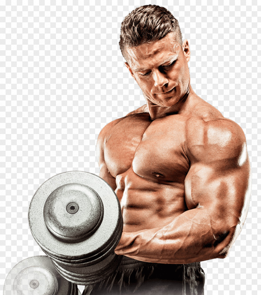 Bodybuilding Dietary Supplement Muscle Physical Exercise PNG