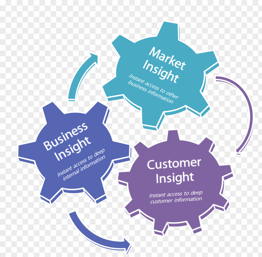 Microsoft Customer Relationship Management Insight Experience Dynamics CRM PNG