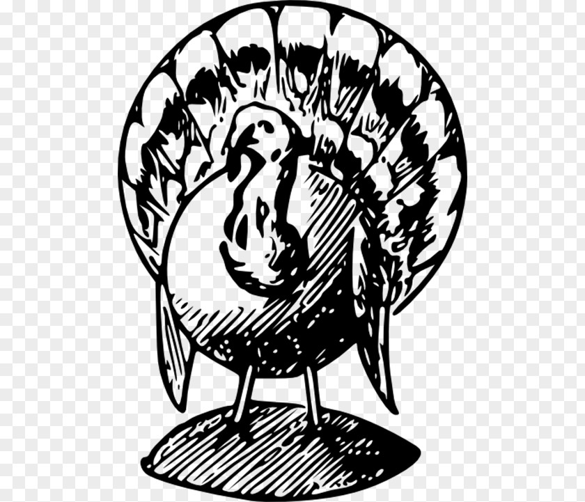 Thanksgiving Black Turkey Broad Breasted White Meat Clip Art PNG