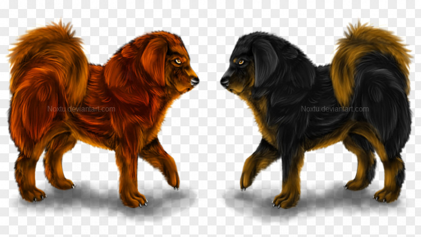Tibetan Mastiff English Dog Breed Canidae Puppy PNG
