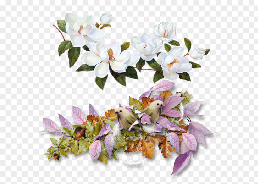 Wedding Floral Ornament Flower Magnolia Graphic Frames Clip Art PNG