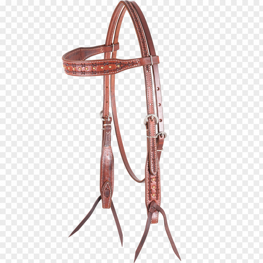 Barbwire Horse Tack Bridle Leather PNG