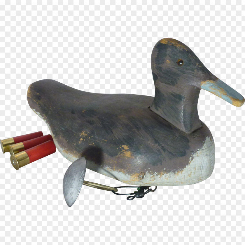 Duck Water Bird Anatidae Goose PNG