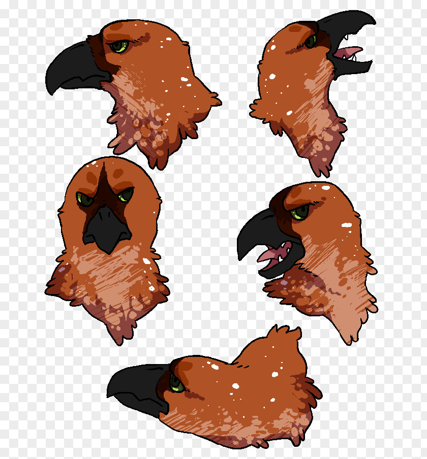 Harpia Beak Chicken As Food Clip Art PNG