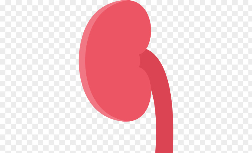 Kidney Circle Font PNG