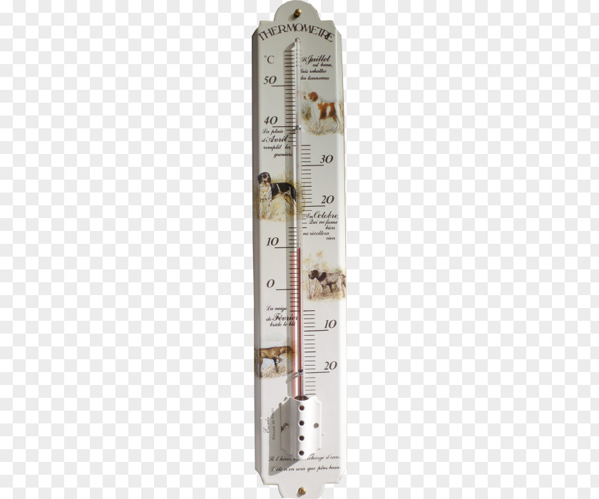 Thermometre Thermometer Measuring Instrument Garden Stock Image Évreux PNG