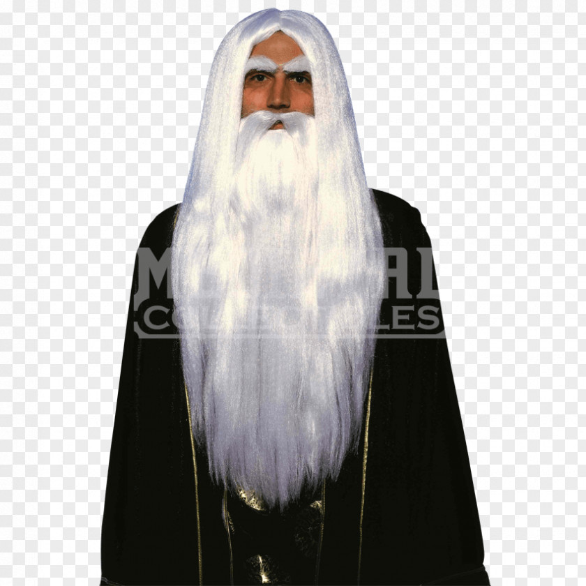 Wig Sets Gandalf Saruman Merlijn The Lord Of Rings: Fellowship Ring Magician PNG