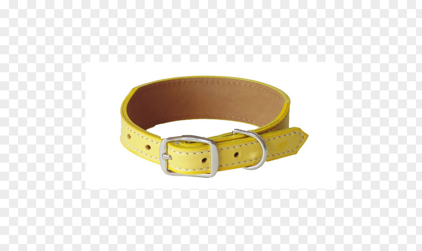 Yellow Dog Belt Buckles Strap PNG