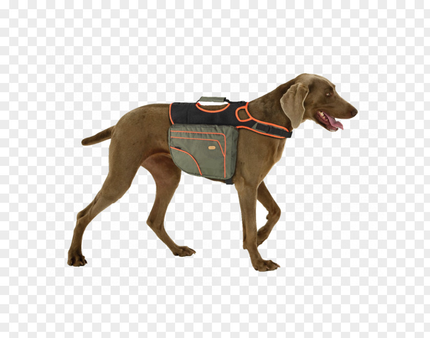 Backpack Weimaraner Dog Breed Labrador Retriever Beagle PNG