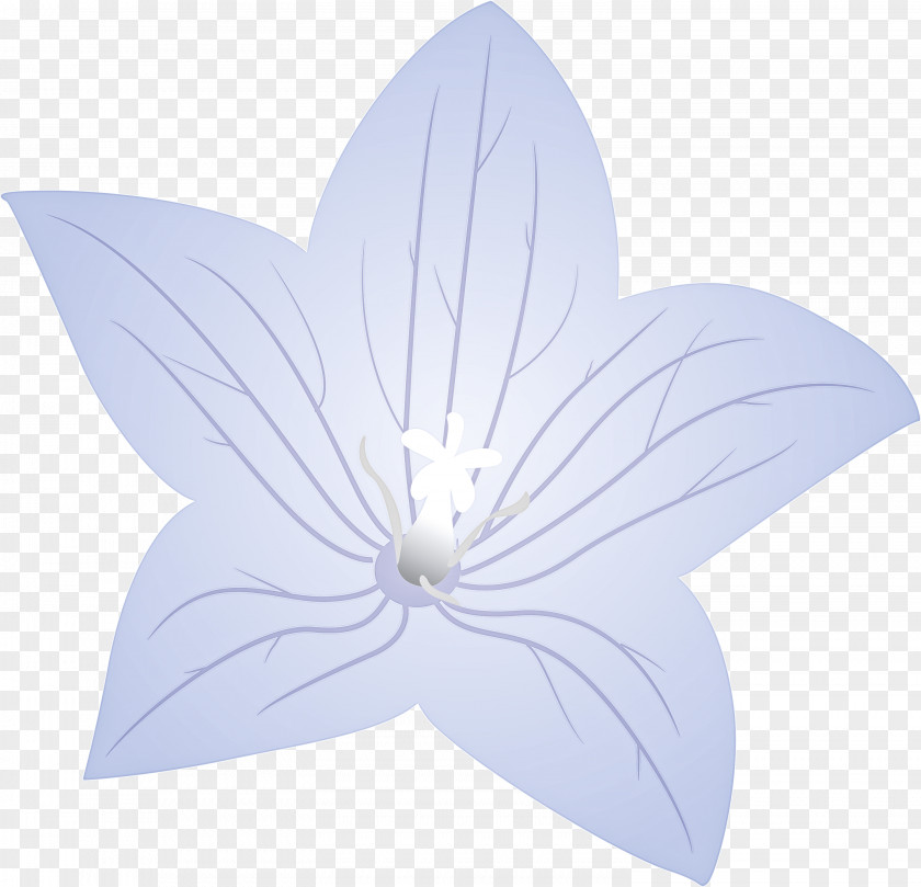 Balloon Flower PNG