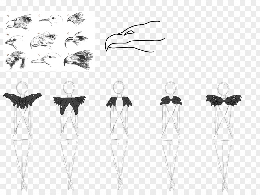 Design /m/02csf Product Bird Drawing PNG