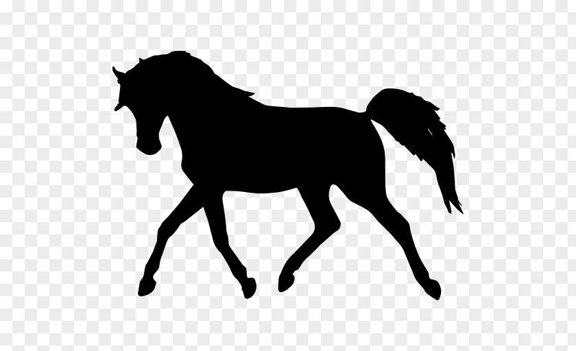 Horse Silhouette Arabian Standing PNG