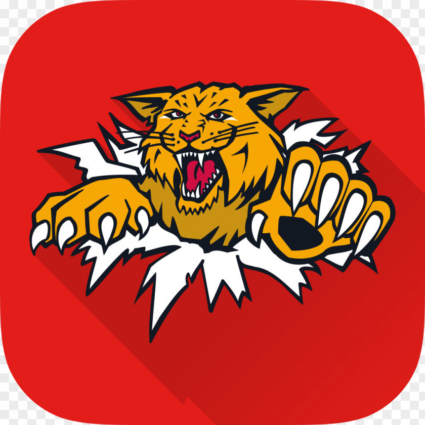 Moncton Wildcats Quebec Major Junior Hockey League Halifax Mooseheads Memorial Cup Coliseum PNG