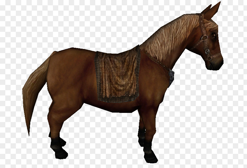 Mustang Equestrian Pack Animal Rein PNG