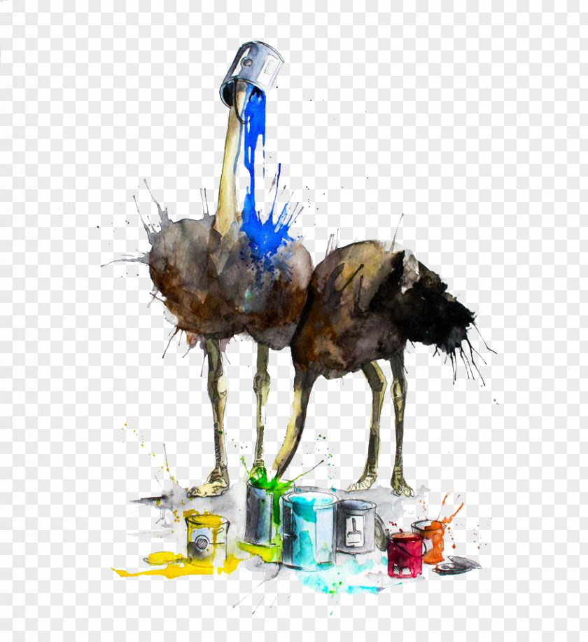 Ostrich With Paint Material Picture Watercolor Painting Artist Illustration PNG