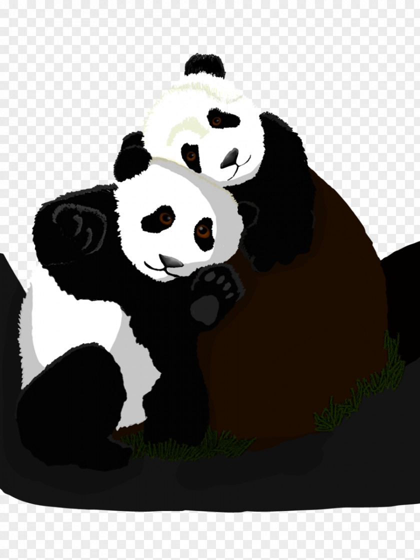 Panda Giant Bear Drawing PNG