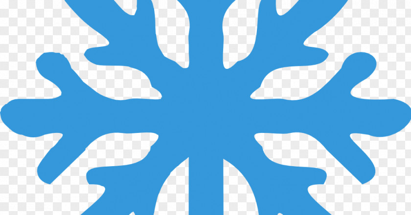 Snow Snowflake PNG