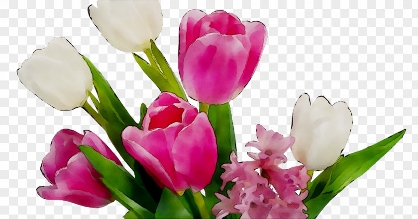 Tulip Flower Bouquet Cut Flowers Klinika Glazunovoy PNG