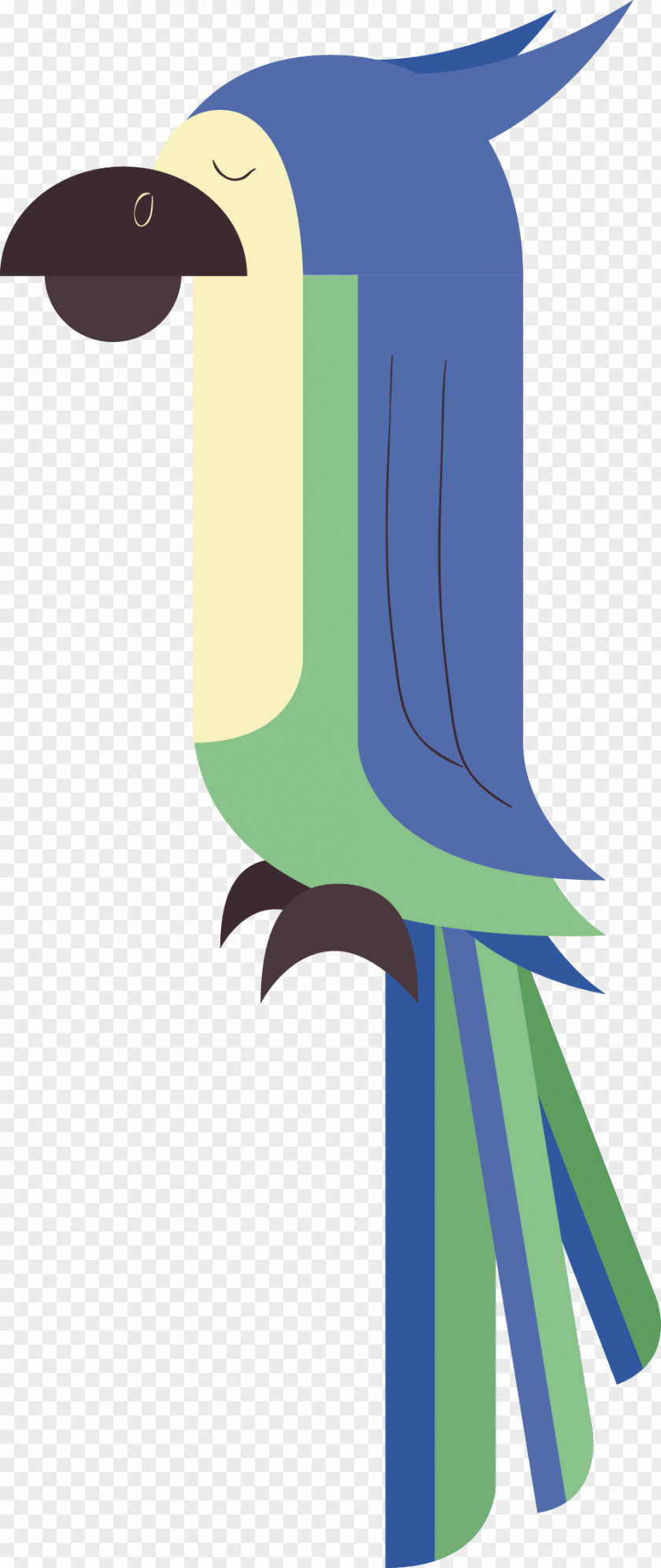 Geometric Parrot Bird Beak Clip Art PNG