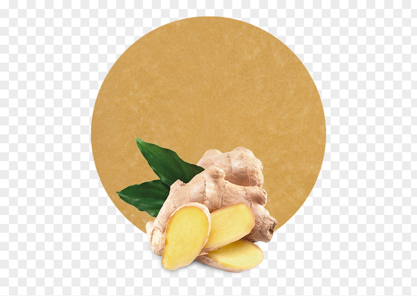 Lemon Ginger Gingerol Vegetable Health Food PNG