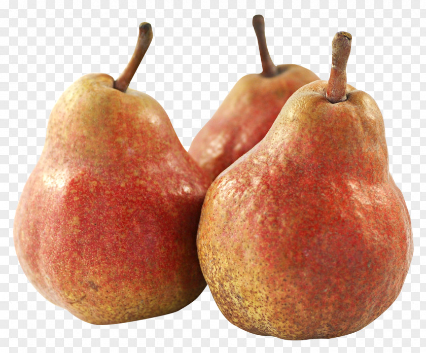 Pear Fruit Asian PNG
