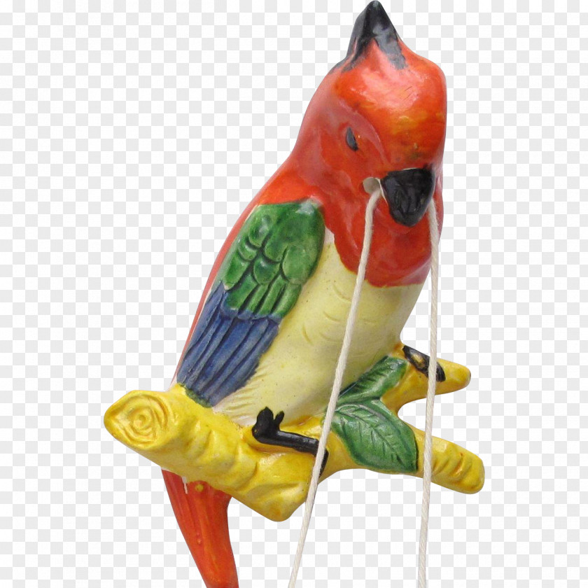 Bird Lovebird Macaw Parakeet Beak PNG