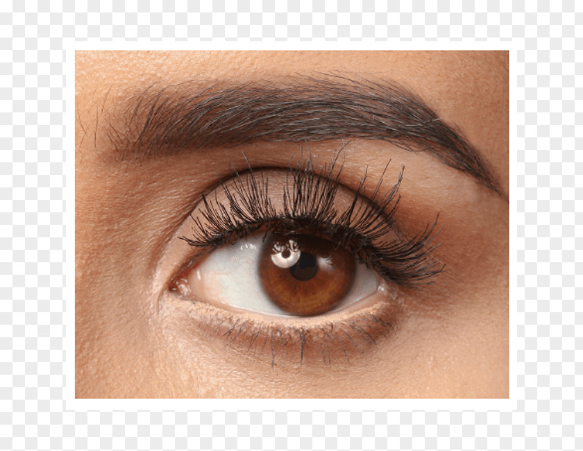 Eye Eyebrow Permanent Makeup Microblading Cosmetics Liner PNG