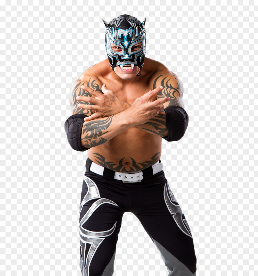 Impact Wrestling Professional Wrestler Lucha Libre X Division Championship PNG wrestling libre Championship, wwe clipart PNG