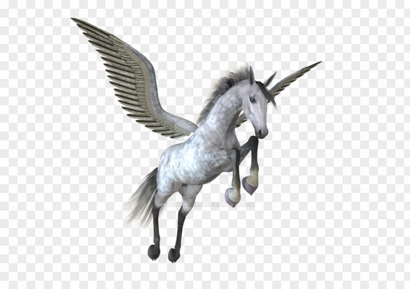 Pegasus Image PNG