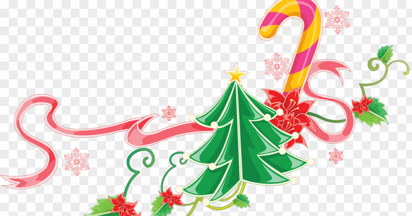 Pine Family Holly Christmas And New Year Background PNG