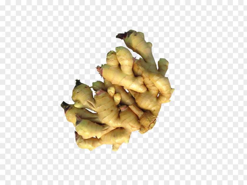 A Ginger Ale Computer File PNG