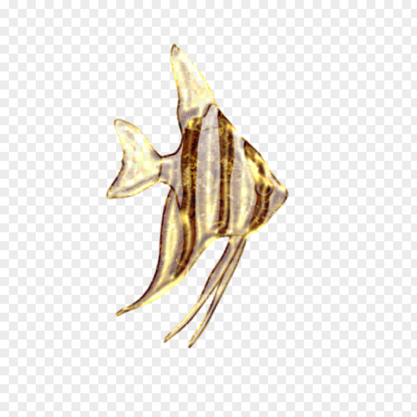 Jewellery Body Conch PNG