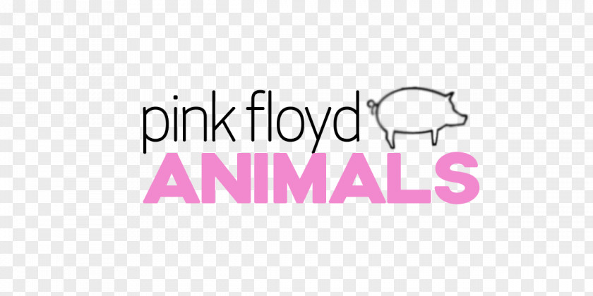 Pinkfloyd Logo Animals Pink Floyd The Final Cut Meddle PNG